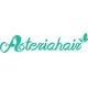 AsteriaHair