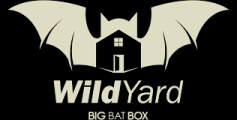 Big Bat Box