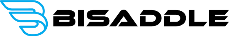 BiSaddle