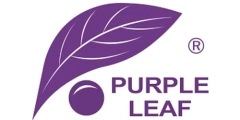 Purple Leaf